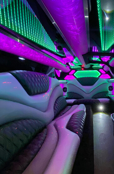 ann arbor limousine interior