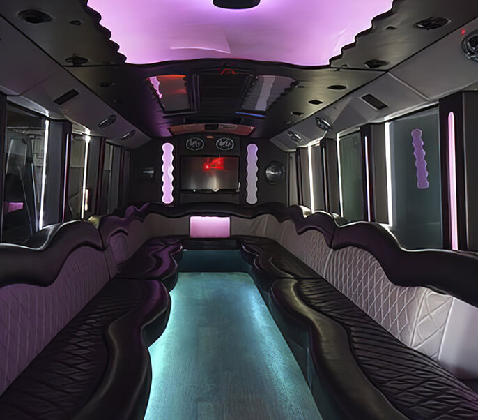 ann arbor party buses