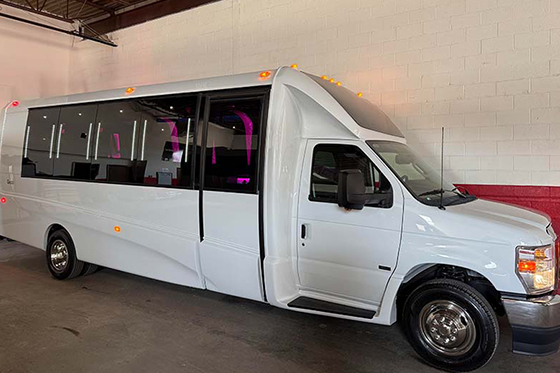 party bus for 25 passengers